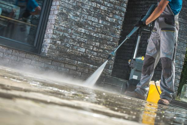Best Animal Enclosure Cleaning  in Winter Haven, FL
